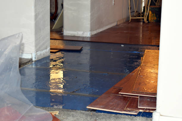 Professional Basement Flood Cleanup technician working in Jackson, NH